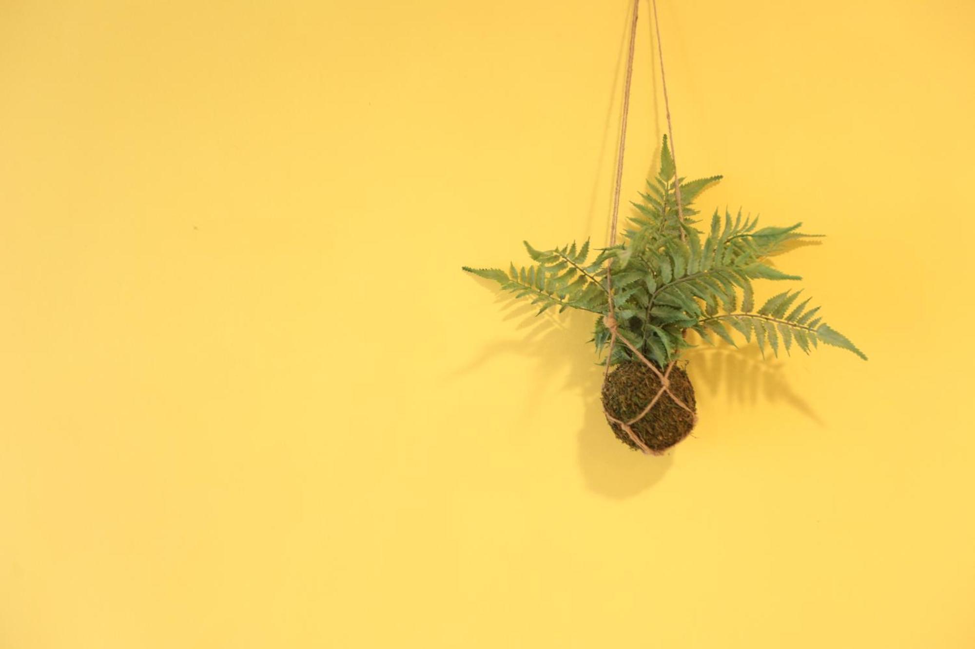 Appartement 小巷微光 à Lyudao Extérieur photo